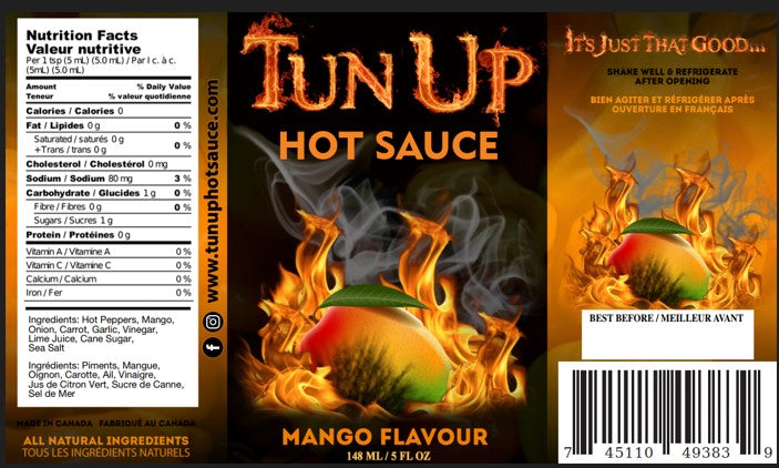 Pack of 4 (Mango Flavour)